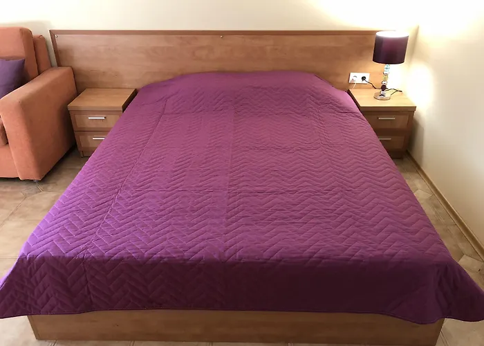 Central Plaza Studio 써니비치